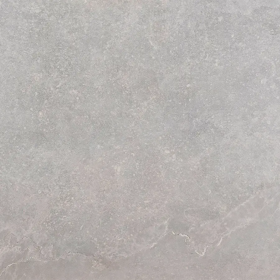 NEPTUNE GREY